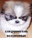 Rog0v